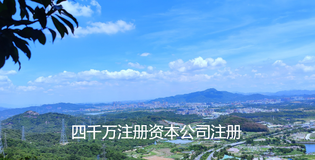 四千万注册资本公司注册程序及相关手续