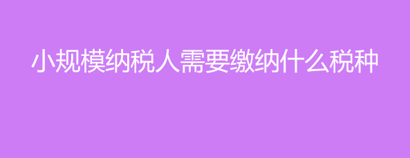 小规模纳税人要交什么税