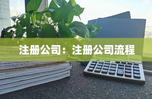 龙华数码科技公司注册程序