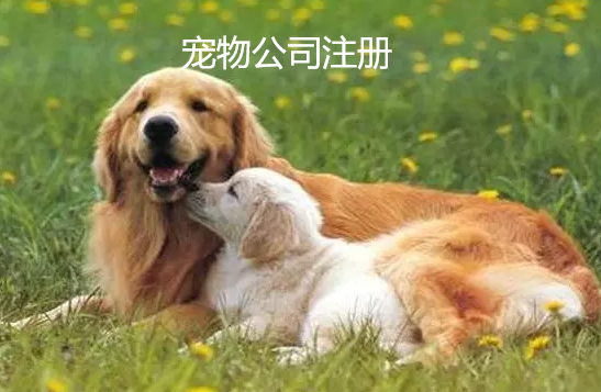 宠物公司注册要求是什么