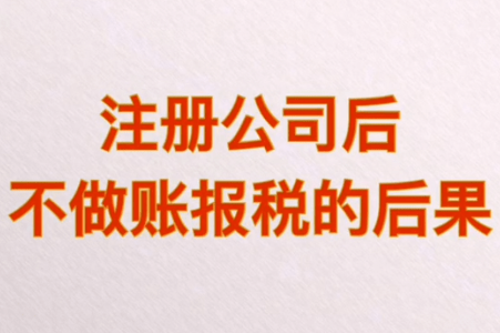 公司成立后不记账报税需承担哪些后果